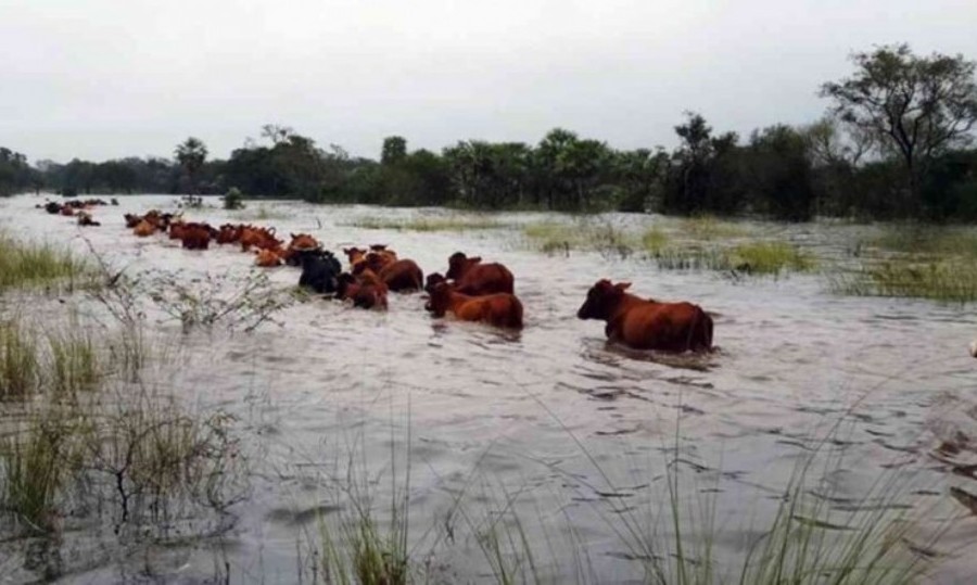 El campo bonaerense advirtió que las inundaciones dejaron hectáreas bajo agua.