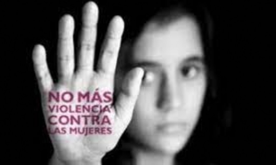 Un relevamiento indicó que la mayoría de los casos de violencia de género ocurrieron en la provincia de Buenos Aires.