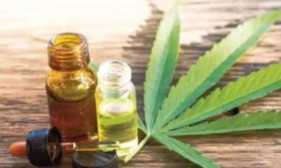 Provincia cre&oacute; un Consejo Consultivo para avanzar en pol&iacute;ticas sobre el cannabis medicinal
