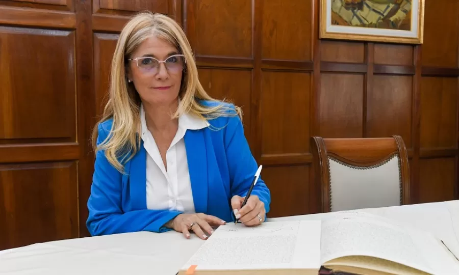 Magario arremeti&oacute; contra Milei por la nueva Ley de Discapacidad: &ldquo;Es cruel con los m&aacute;s d&eacute;biles&rdquo;