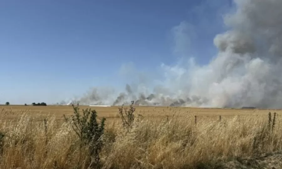 CARBAP alert&oacute; por riesgo extremo de incendios rurales en la Provincia