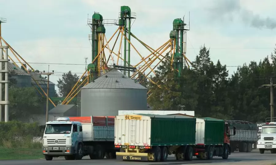 Productores se quejan de la suba de los costos y le piden a Milei que siga bajando las retenciones