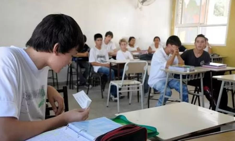 Aseguran que solo 19 de cada 100 chicos cumple sus 15 a&ntilde;os de estudio en tiempo y forma