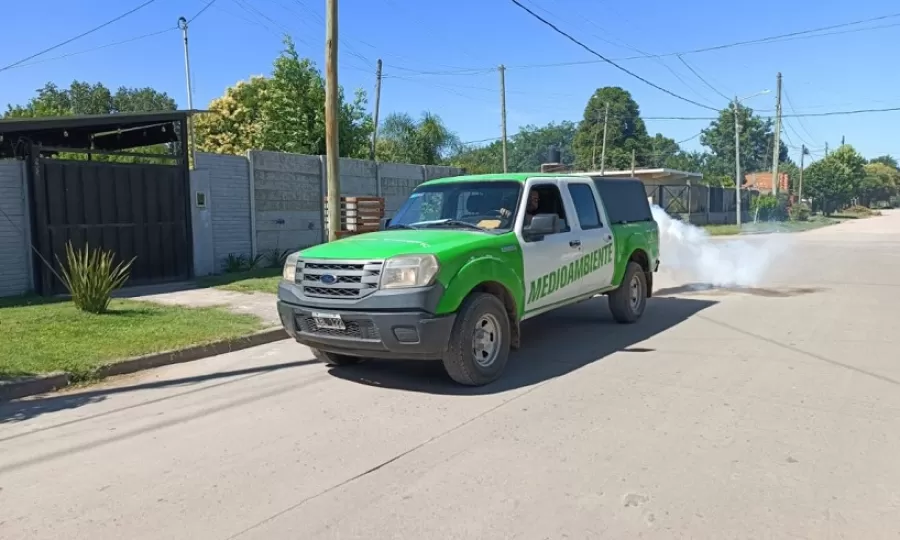 Avanzan las tareas de fumigaci&oacute;n