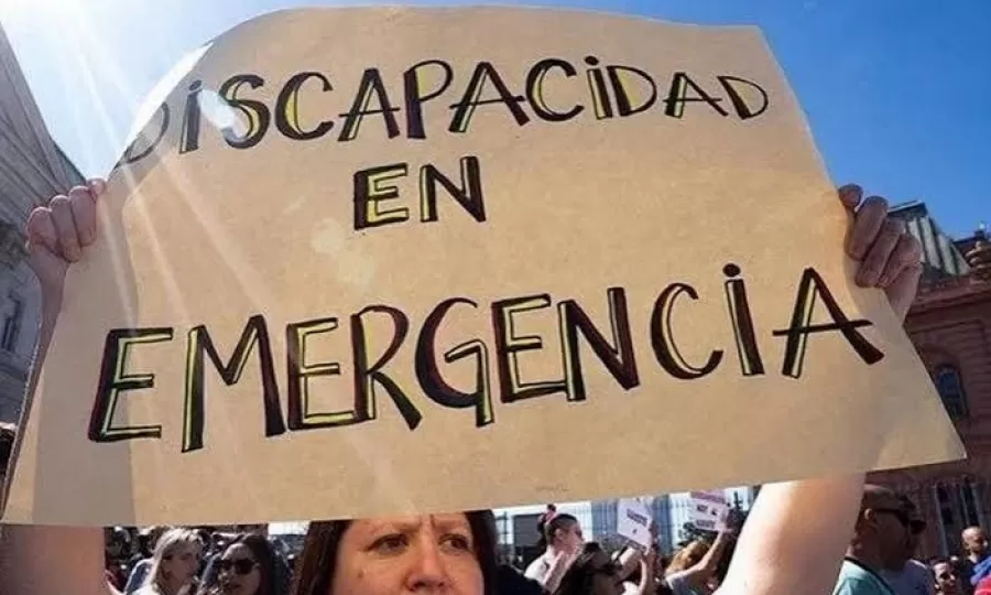 Convocan a una marcha al Congreso por la ley de emergencia en Discapacidad y objetan el proyecto oficial