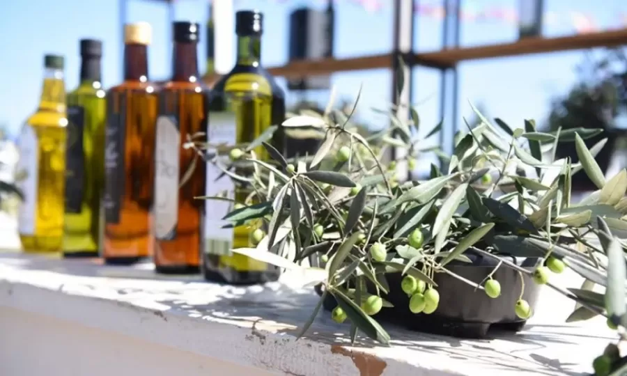 La Provincia lanz&oacute; &ldquo;La Ruta del Olivo&rdquo; para impulsar producci&oacute;n y turismo rural