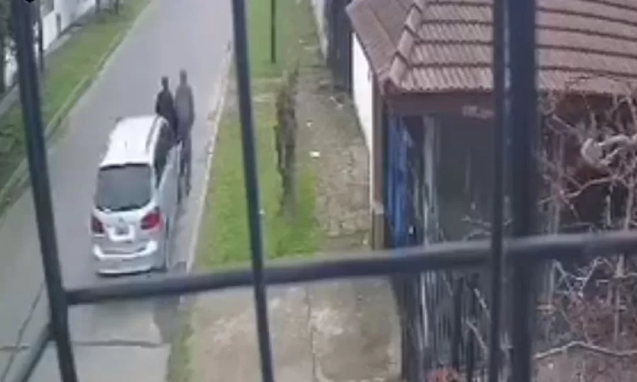 Atropell&oacute; a una mujer y huy&oacute;