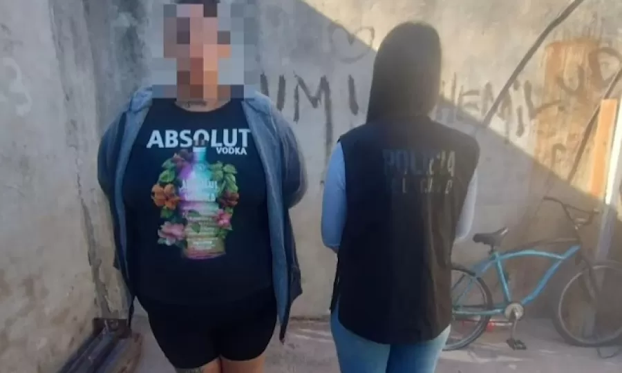 Cay&oacute; una &ldquo;viuda negra&rdquo; acusada de drogar y robar a un hombre