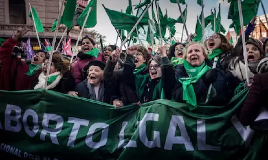 La oposici&oacute;n present&oacute; un proyecto para derogar el aborto legal en la provincia de Buenos Aires
