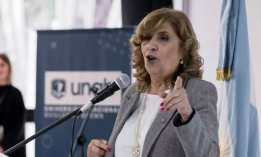 La jueza que fren&oacute; el R&eacute;gimen Penal Juvenil en la Provincia fundament&oacute; su decisi&oacute;n: &ldquo;Con esta ley no vamos a crear m&aacute;s seguridad&rdquo;