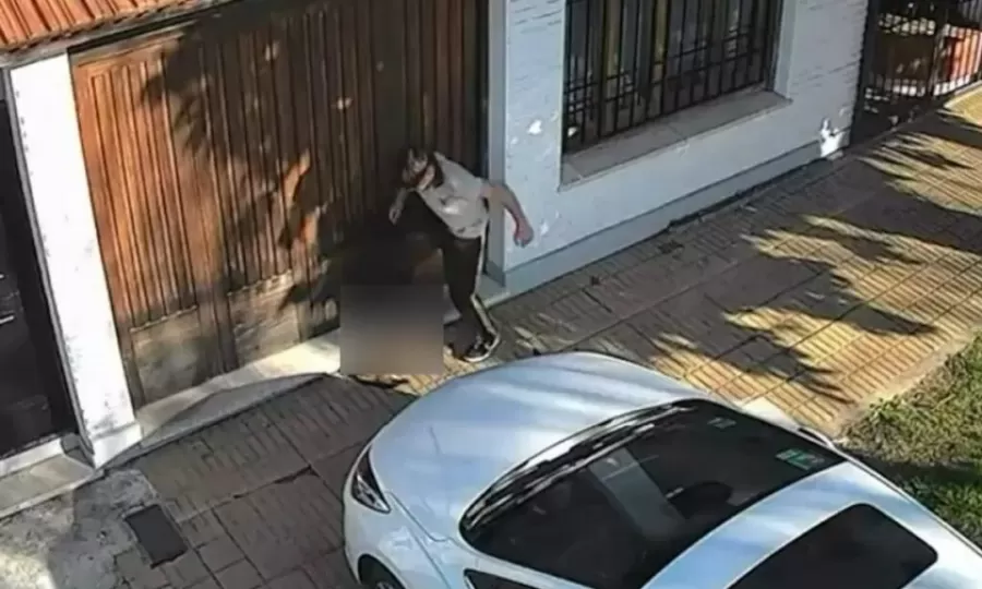 Una fiscal investiga de oficio al chico que le pate&oacute; la cabeza a un gato en Temperley