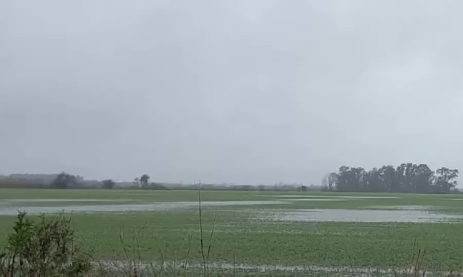 La ONU ratific&oacute; que El Ni&ntilde;o podr&iacute;a ser el m&aacute;s fuerte de los &uacute;ltimos 40 a&ntilde;os: &ldquo;Se est&aacute; volviendo gigantesco&rdquo;