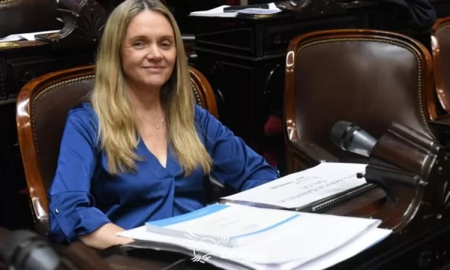 Una diputada de La Libertad Avanza admiti&oacute; que su hijo usa sus pasajes oficiales del Congreso para viajar