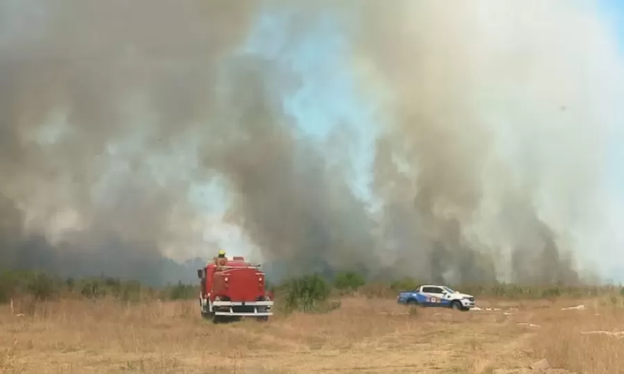 Se registraron incendios de pastizales: los bomberos lograron controlar las llamas