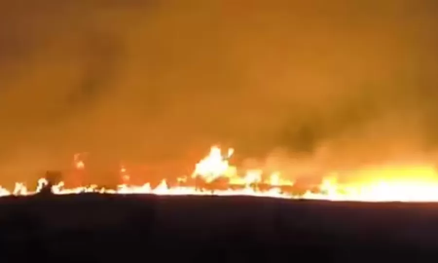 Se quemaron m&aacute;s de 200 hect&aacute;reas en Mar del Plata y crece la hip&oacute;tesis de que fue intencional