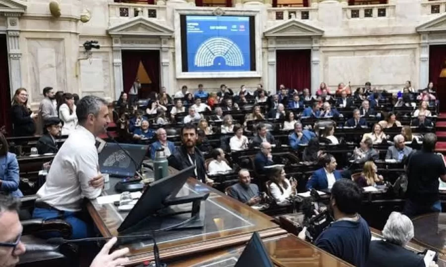 Tras la sesi&oacute;n fallida, la oposici&oacute;n reordena su agenda en Diputados y priorizar&aacute; discapacidad y endeudamiento familiar